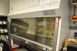 Biosafety Cabinet