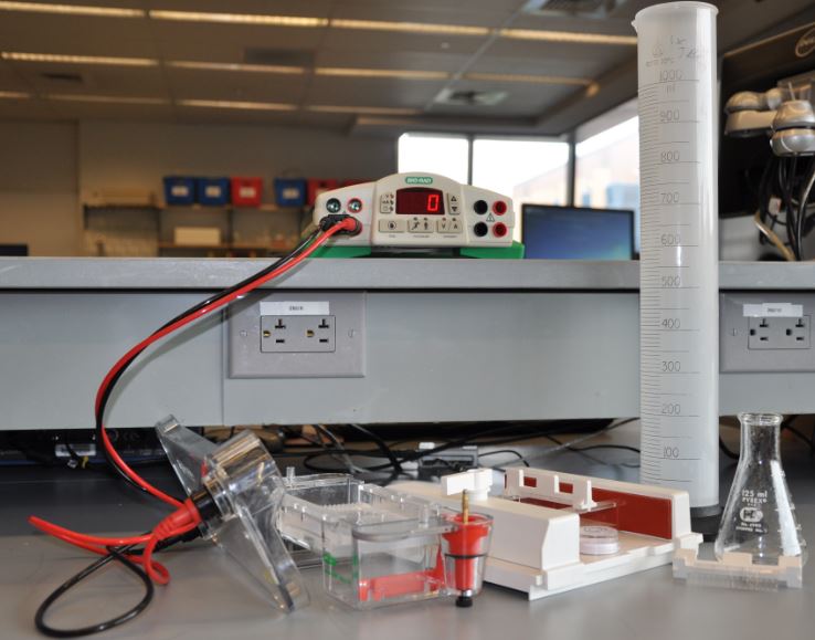 Horizontal Electrophoresis