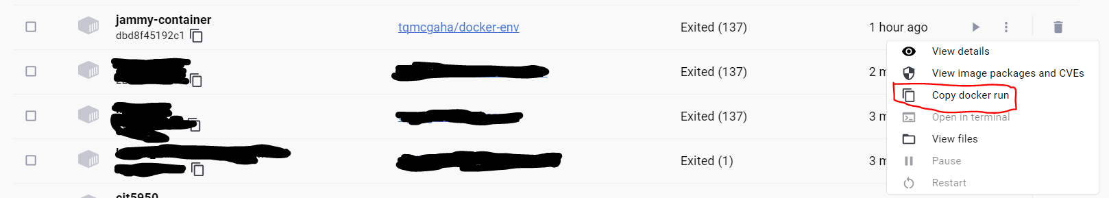 Copy Docker Run